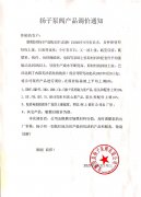 揚子產品調價通知